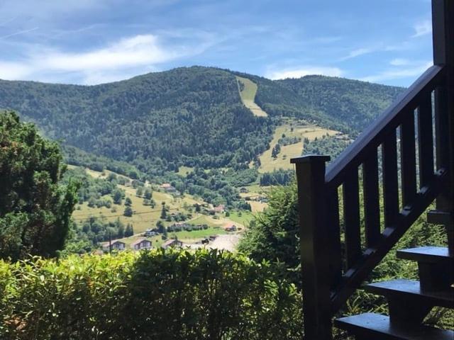 Chalet Bois Vue Panoramique : 2 Logements Et Sauna Bussang Extérieur photo