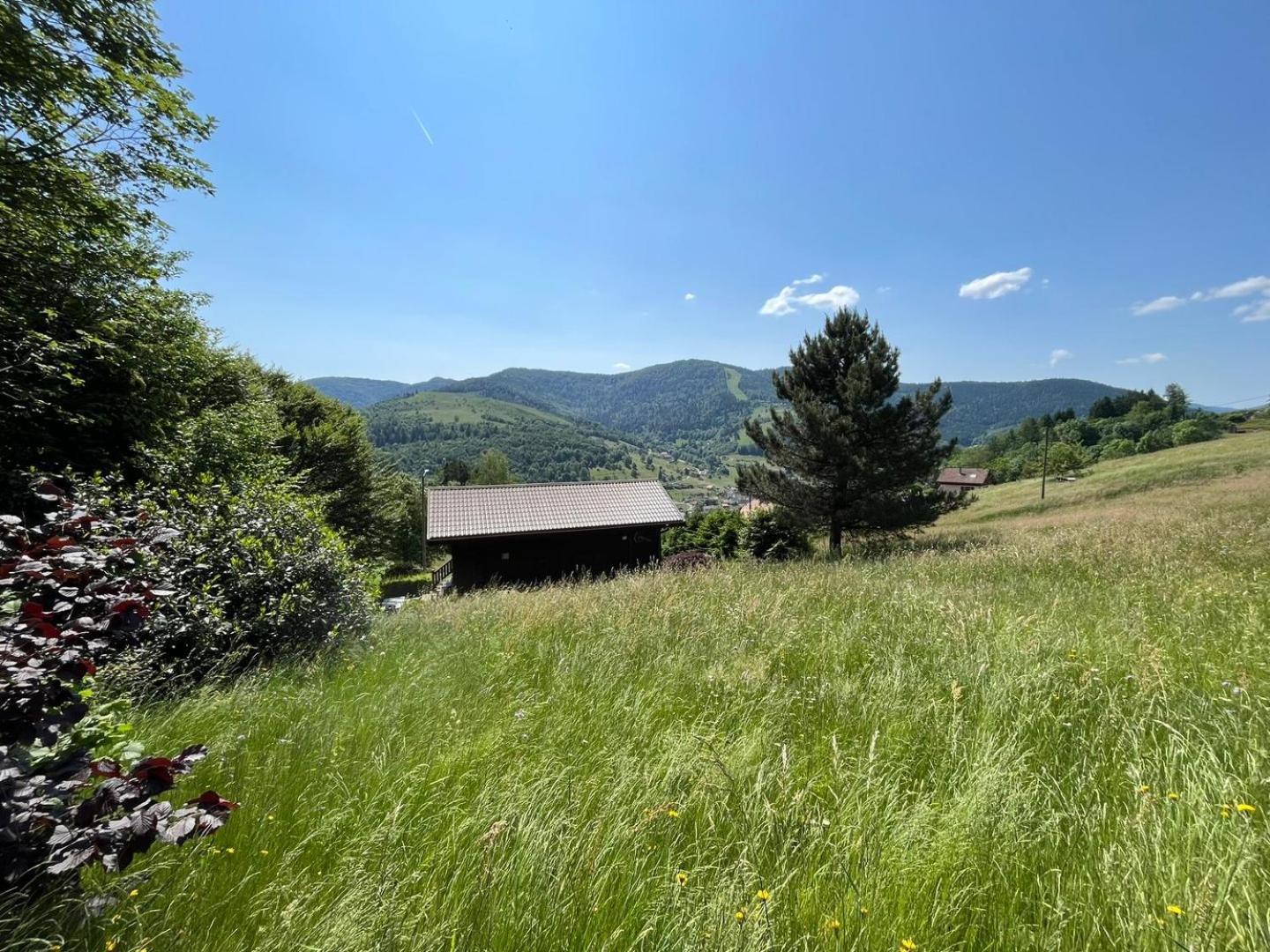 Chalet Bois Vue Panoramique : 2 Logements Et Sauna Bussang Extérieur photo